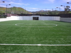 NCSP Field View NCSP Main Field