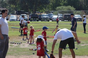 NCSP Lil Sluggers